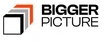 BiggerPicture