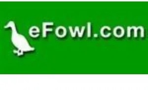 eFowl