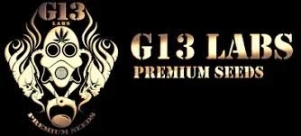 G13 Labs