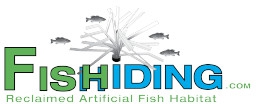 fishiding