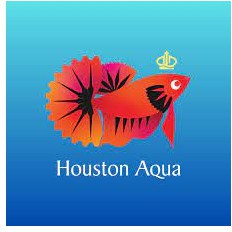 Houston Aqua