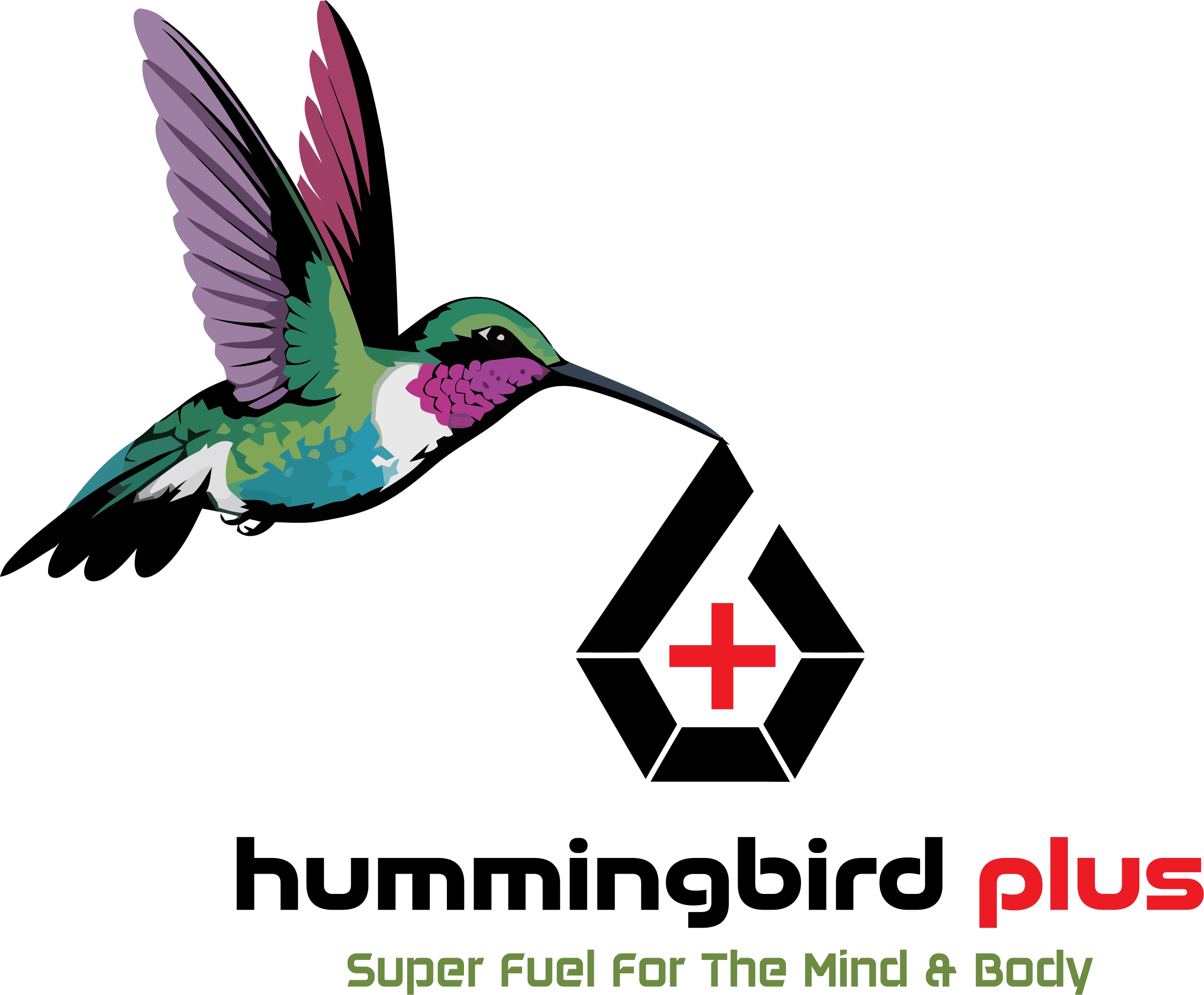 Hummingbird Plus