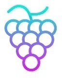 Grape Network