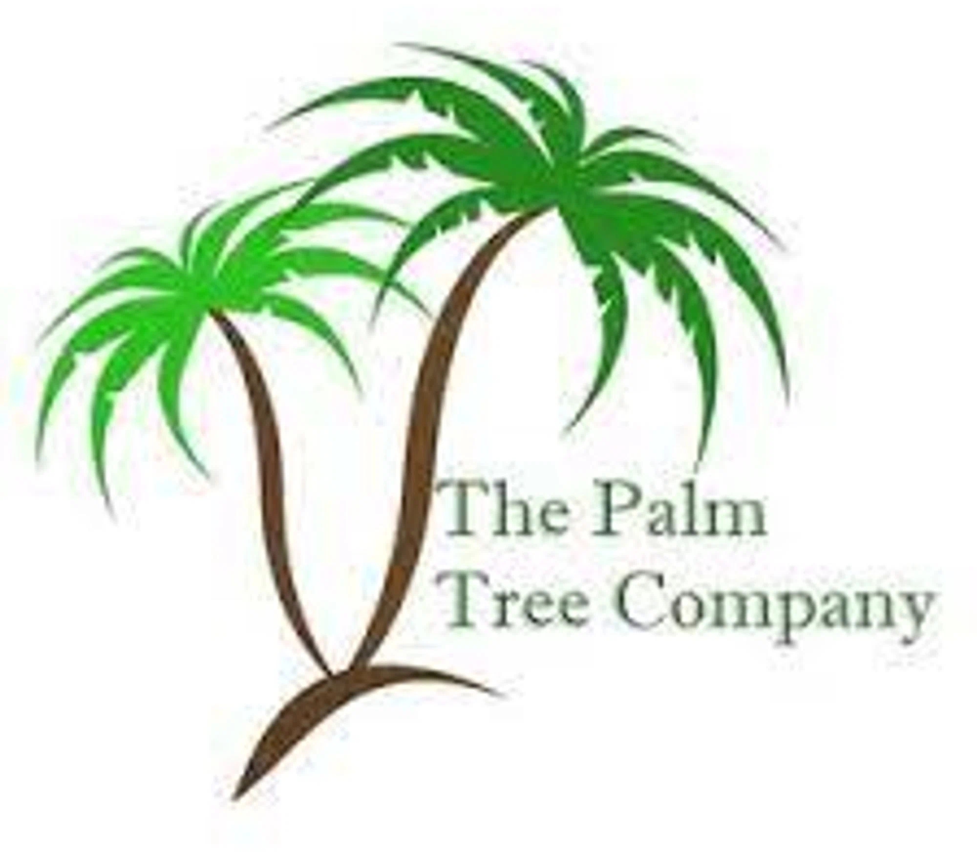 The Palm Tree Company