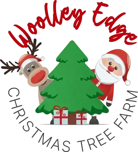 Woolley Edge Christmas Tree Farm