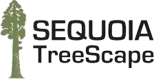 Sequoia Treescape