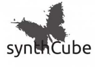 Synth Cube
