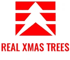 Real Xmas Trees