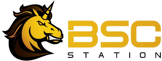 Bsc Station