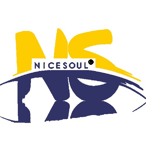 Nicesoul Furniture