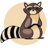 PolyRacoon
