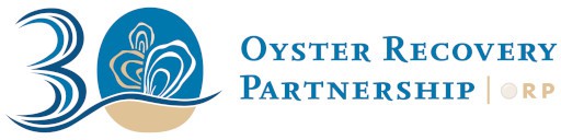 oyster recovery