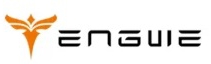 Engwe DK