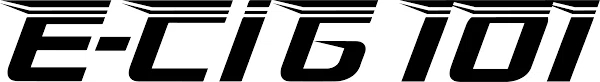 E-CIG 101
