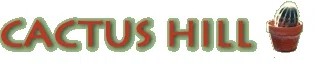 Cactus Hill