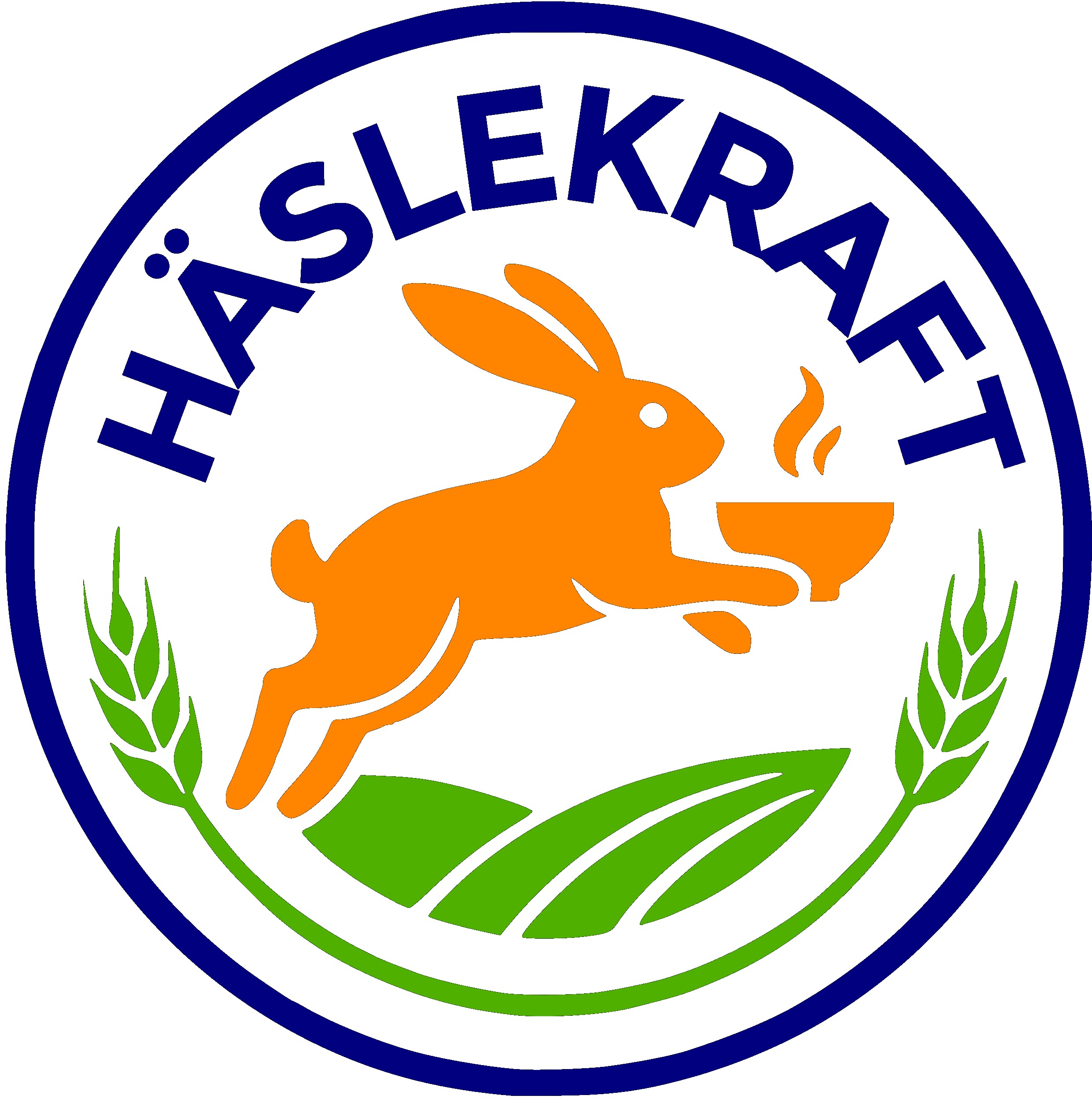 haeslekraft.de