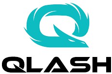 Team Qlash