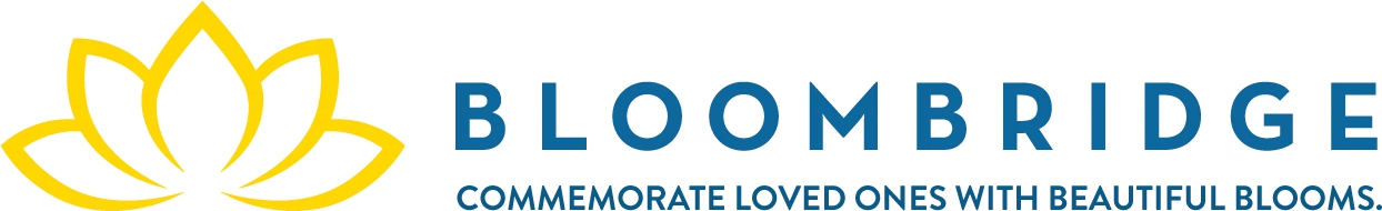 BloomBridge