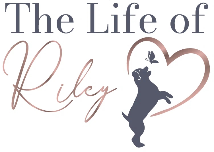 The Life of Riley Pet Care Services