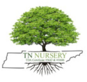 Wholesale Nursery