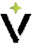 Velocity AI