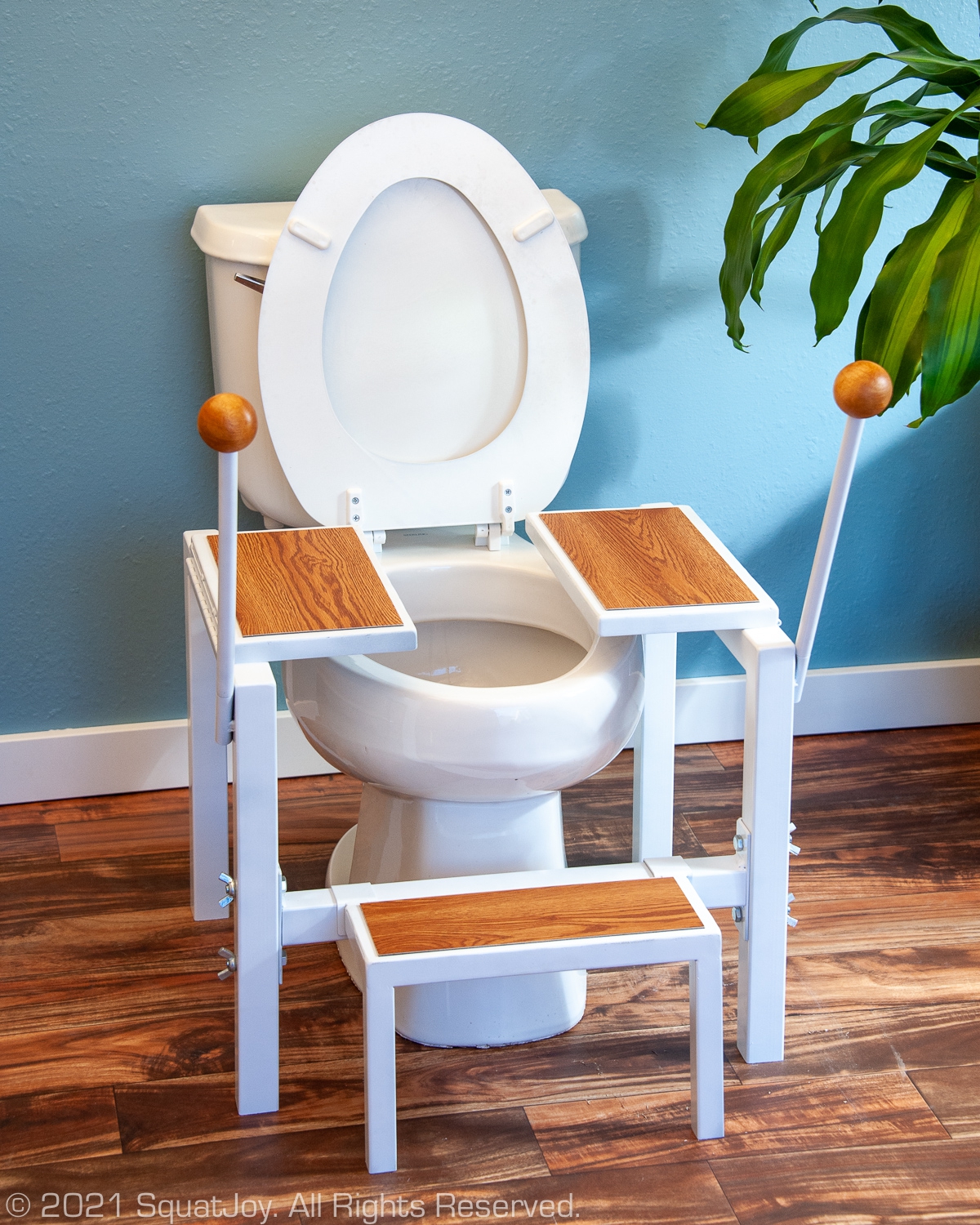 Squatjoy