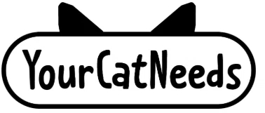 Your Cat Needs
