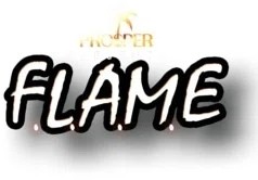 F.L.A.M.E