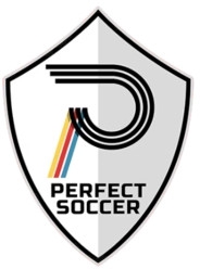 Perfect Soccers