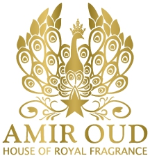 Amir Oud