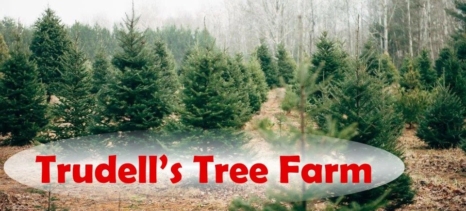 Trudell's Tree Farm