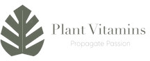 Plant Vitamins