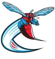 Delaware State Hornets