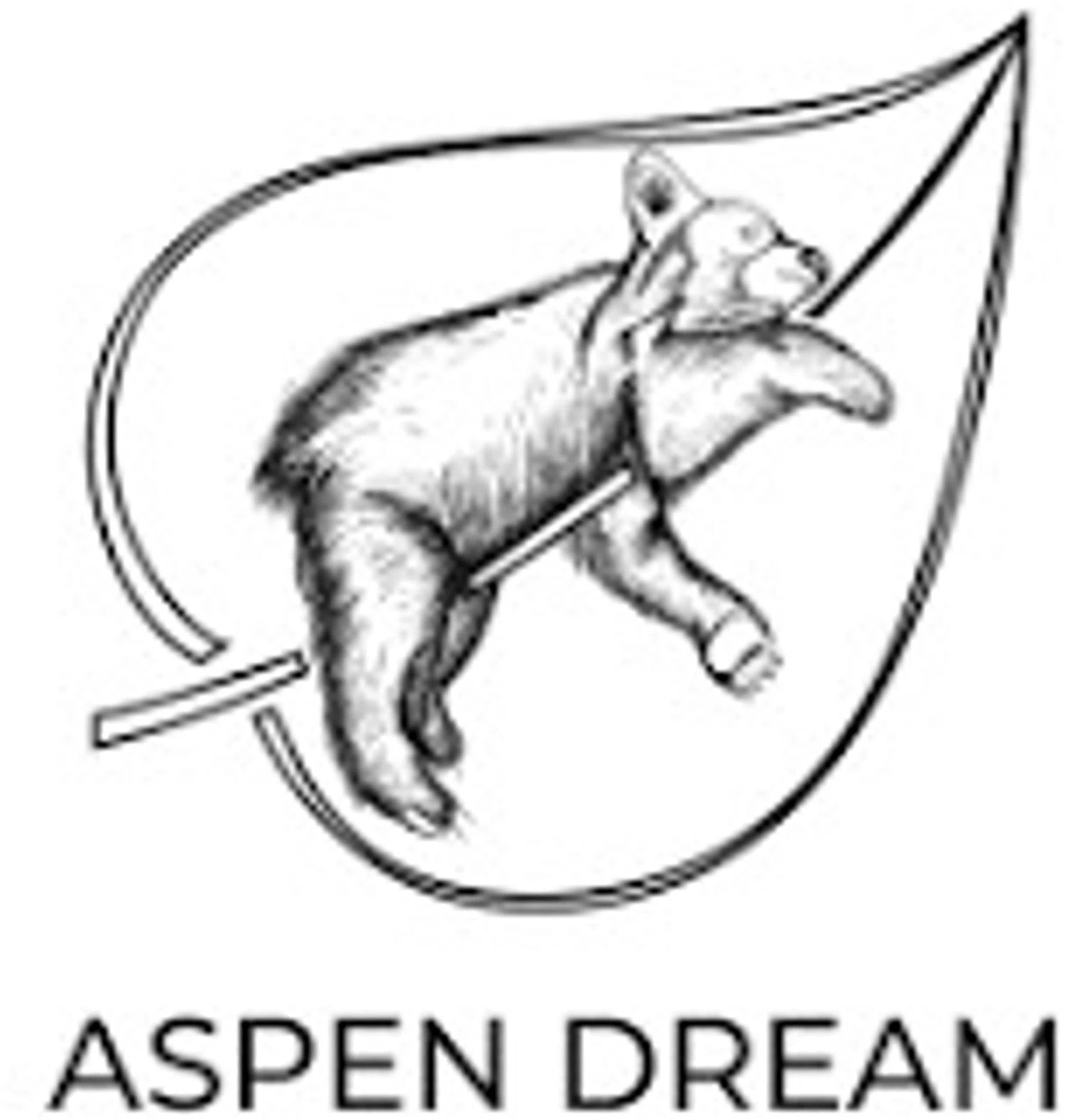 Aspen Dream