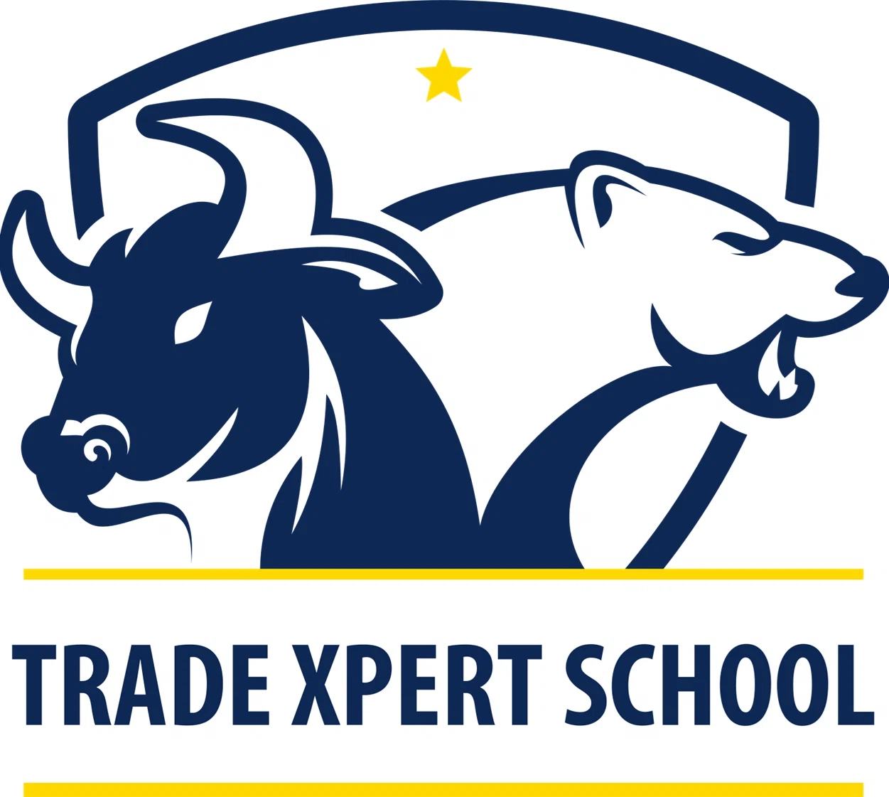 Trade Xpert School