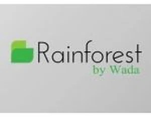 Rainforest by Wada