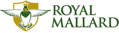 Royal Mallard