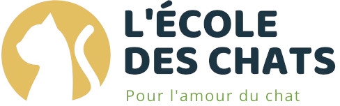 Lecole Des Chats