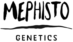 Mephisto Genetics