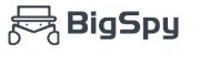BigSpy