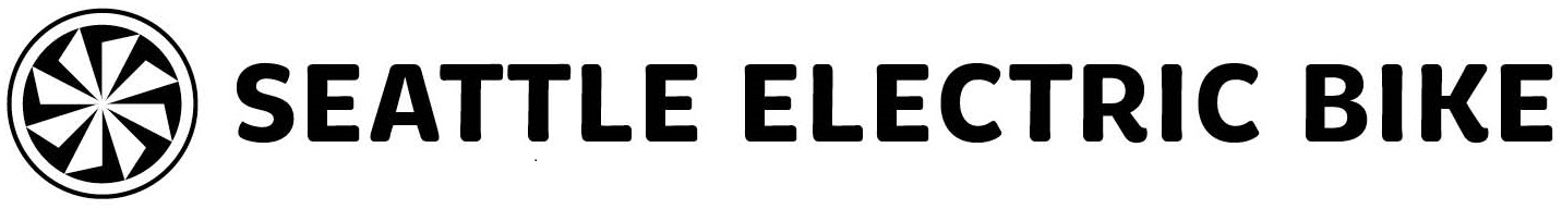 Seattle Electric Bike
