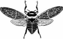 Liberte Du Monde Gourmet & Alchemic Apothecary