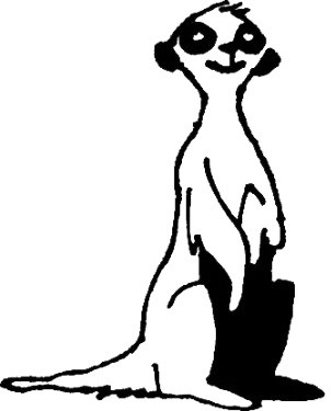 Formation Soigneur Animalier