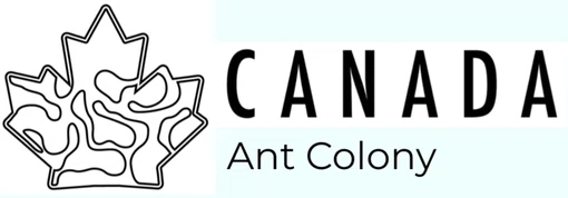 Canada Ant Colony
