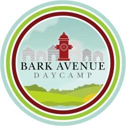 Bark Avenue Daycamp