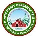 Sunset Christmas Tree Farm