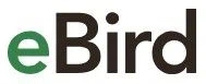 eBird