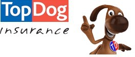 Top Dog Insurance