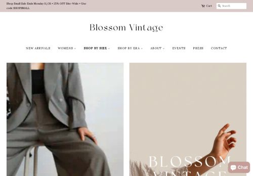 Blossom Vintage capture - 2023-11-30 01:50:25