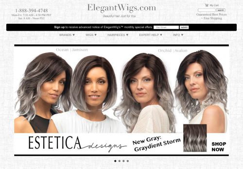 Elegant Wigs capture - 2023-11-30 02:14:30